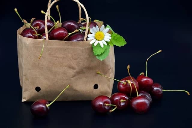 The Power of Recycling: Transforming Waste into Valuable Resources